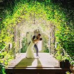 Wedding Kiss 3